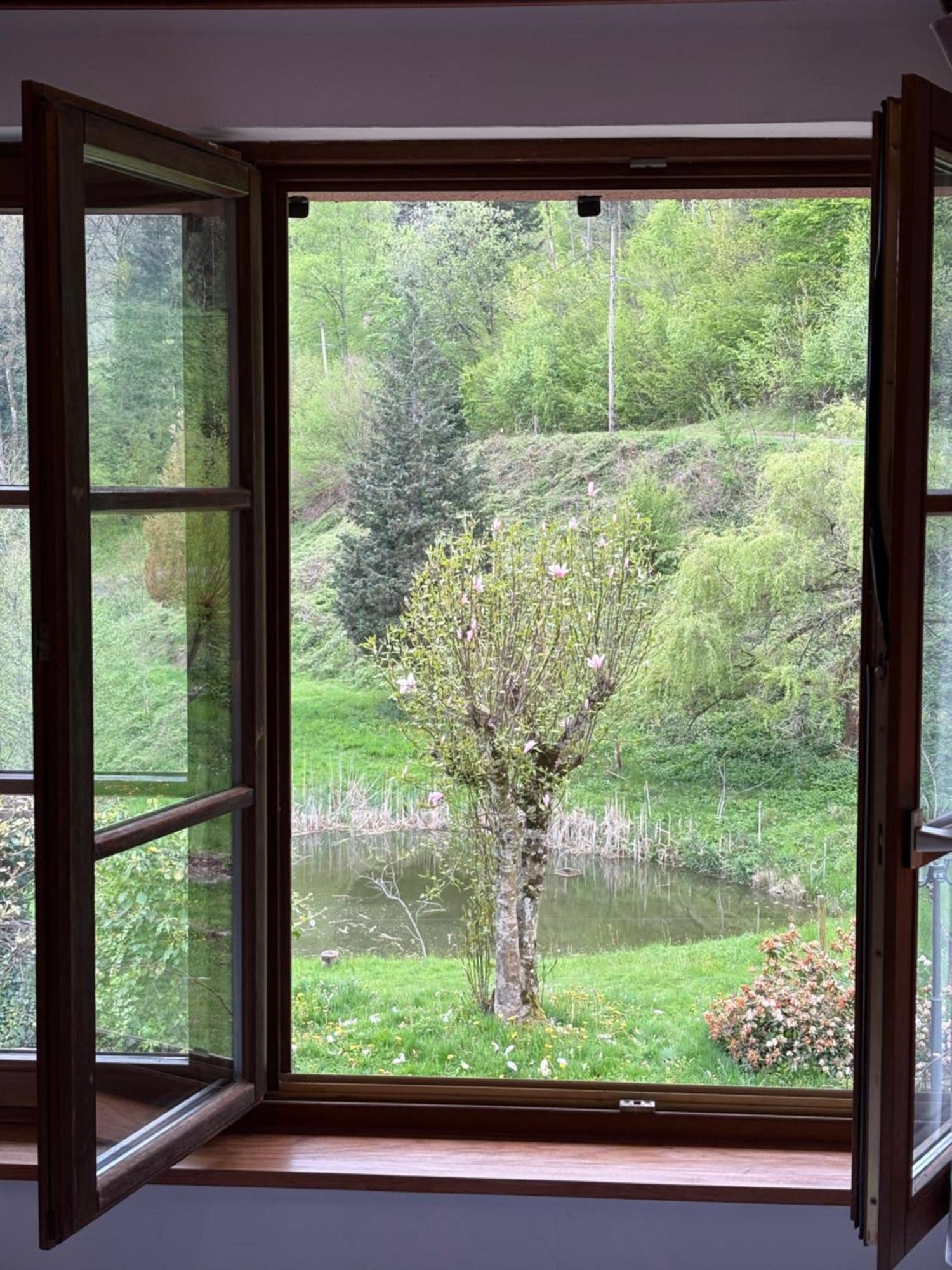 Hotel La Belle Charbonniere La Grande Fosse Habitación foto