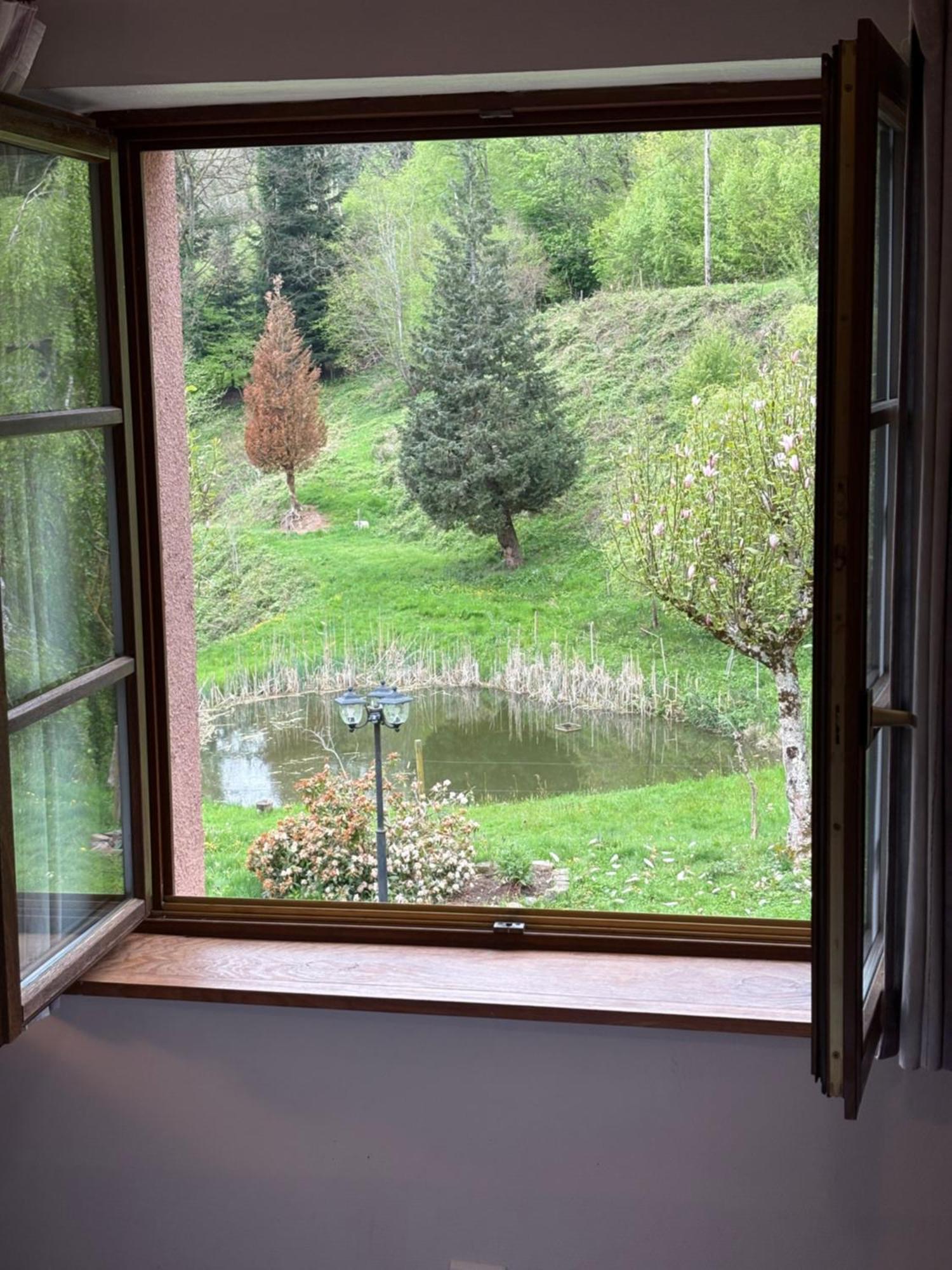 Hotel La Belle Charbonniere La Grande Fosse Habitación foto