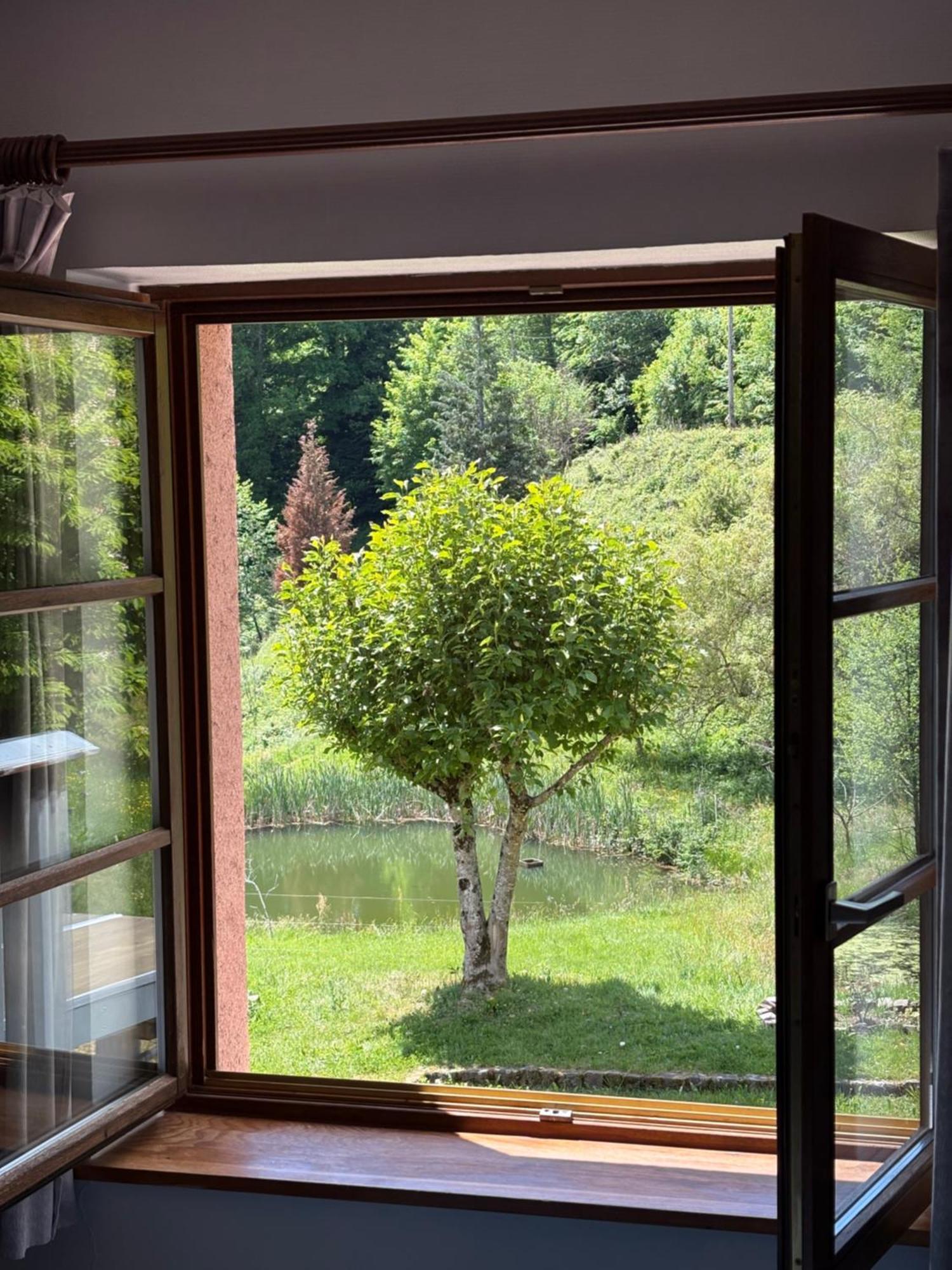 Hotel La Belle Charbonniere La Grande Fosse Habitación foto